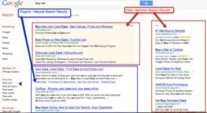Search Results (organic vs paid)